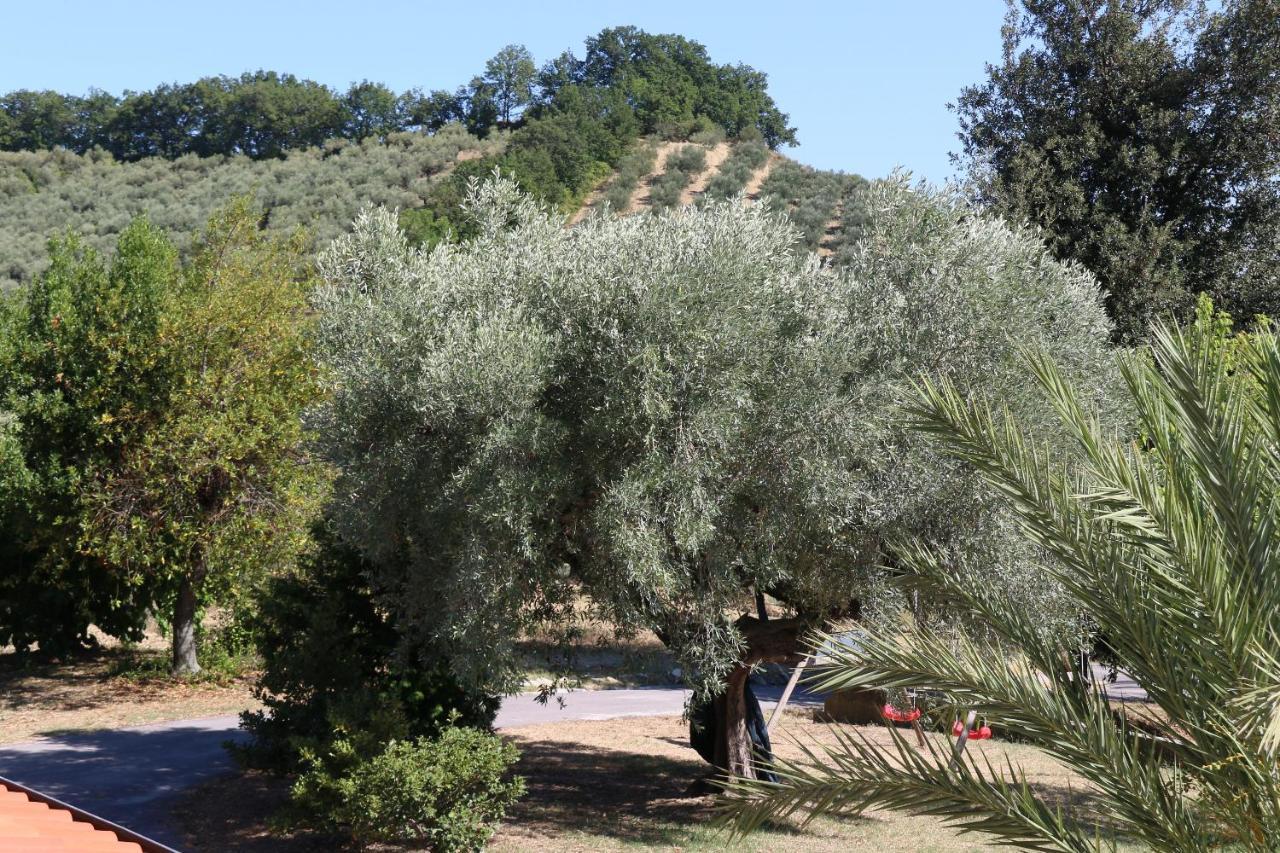 מלון לורטו אפרוטינו L'Oleandro מראה חיצוני תמונה